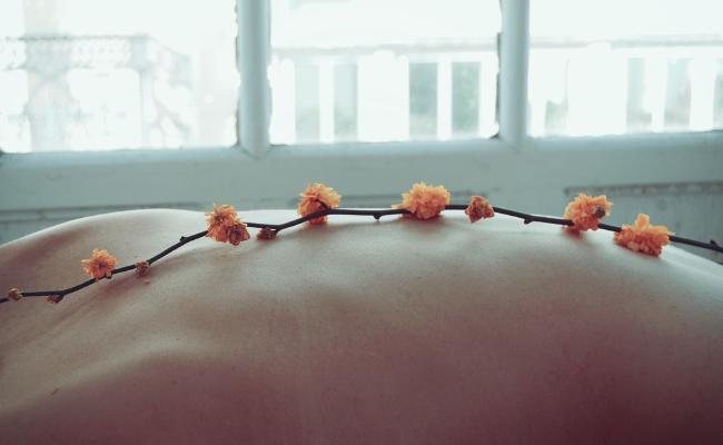 Someone's back with a row of flowers lying on top.